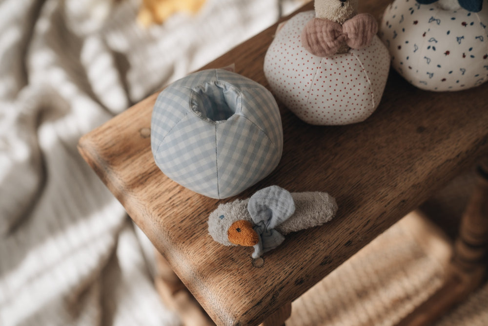 EBBA Duck Rattle + Ball