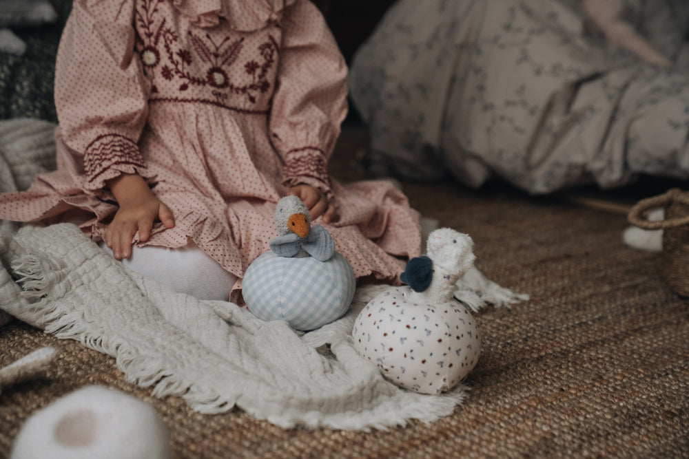 EBBA Duck Rattle + Ball