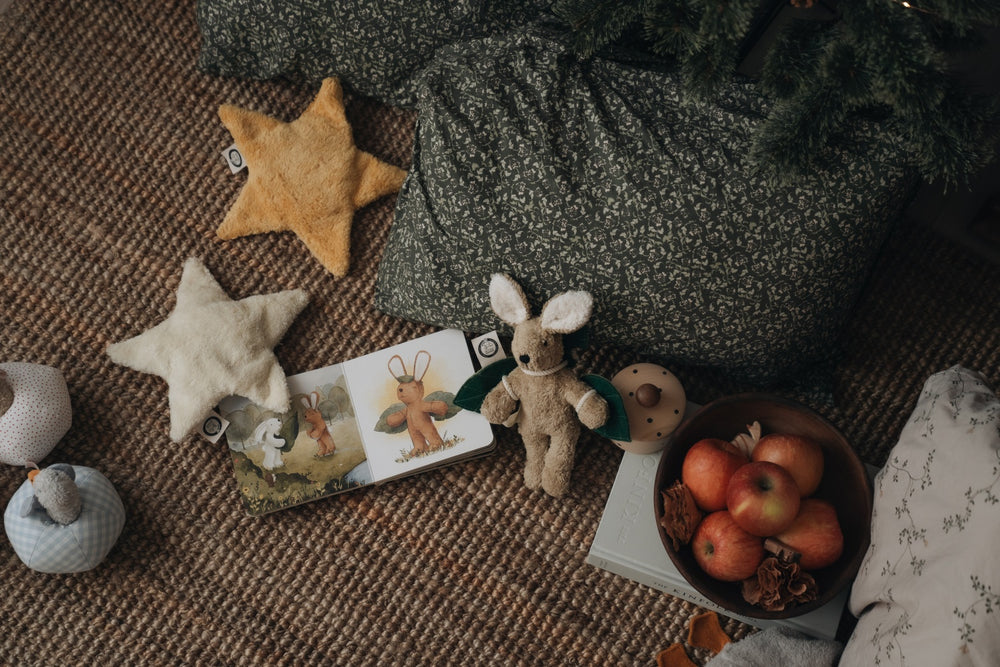 Book | Senger narrates - Flying high