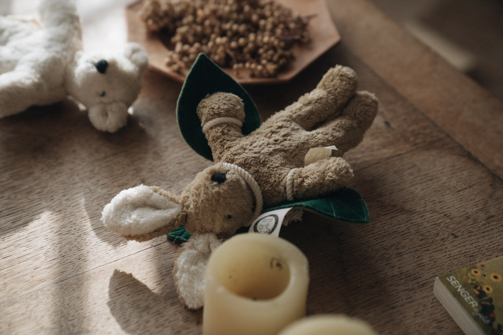 Wing set | Flying high