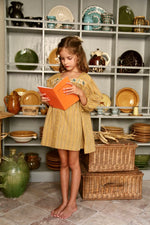 Blouse Curry Transat Stripe