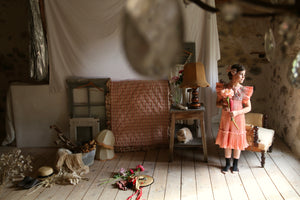 Dress pleated nude taffetas