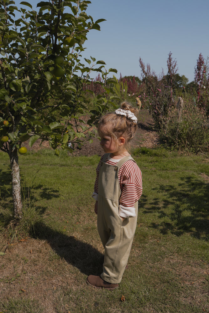 Biscuit Dungarees