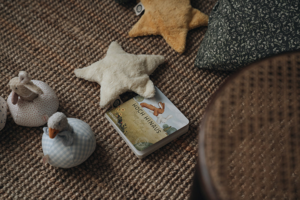 Book | Senger narrates - Flying high