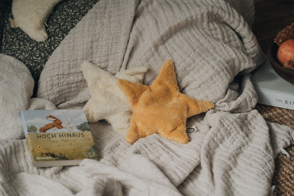 Book | Senger narrates - Flying high