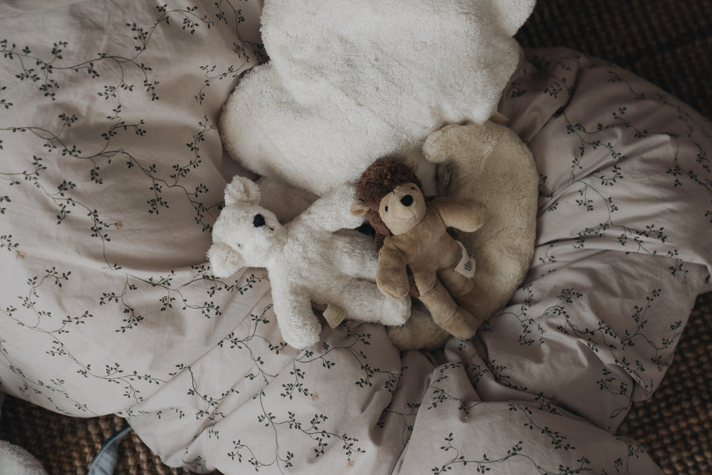 Animal Baby Bear  / White