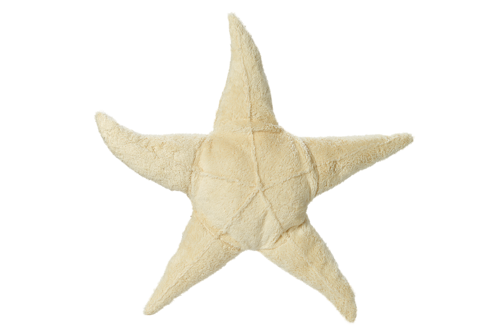 Cuddly Animal Starfish small