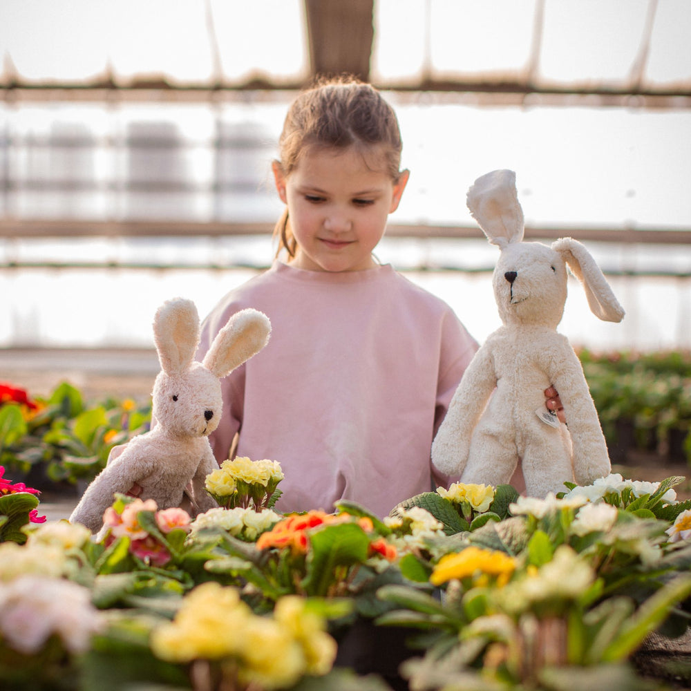 🌸 日本限定 SAKURA Rabbit（S）🌸 – little flamingo