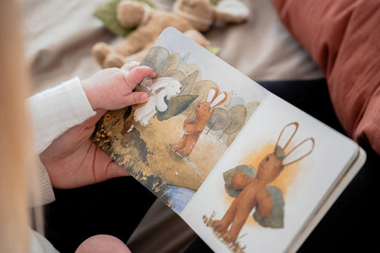 Book | Senger narrates - Flying high