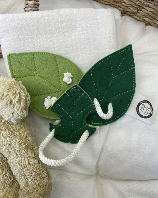 Wing set | Flying high