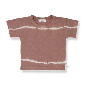 BOBBY/cedar【18M】